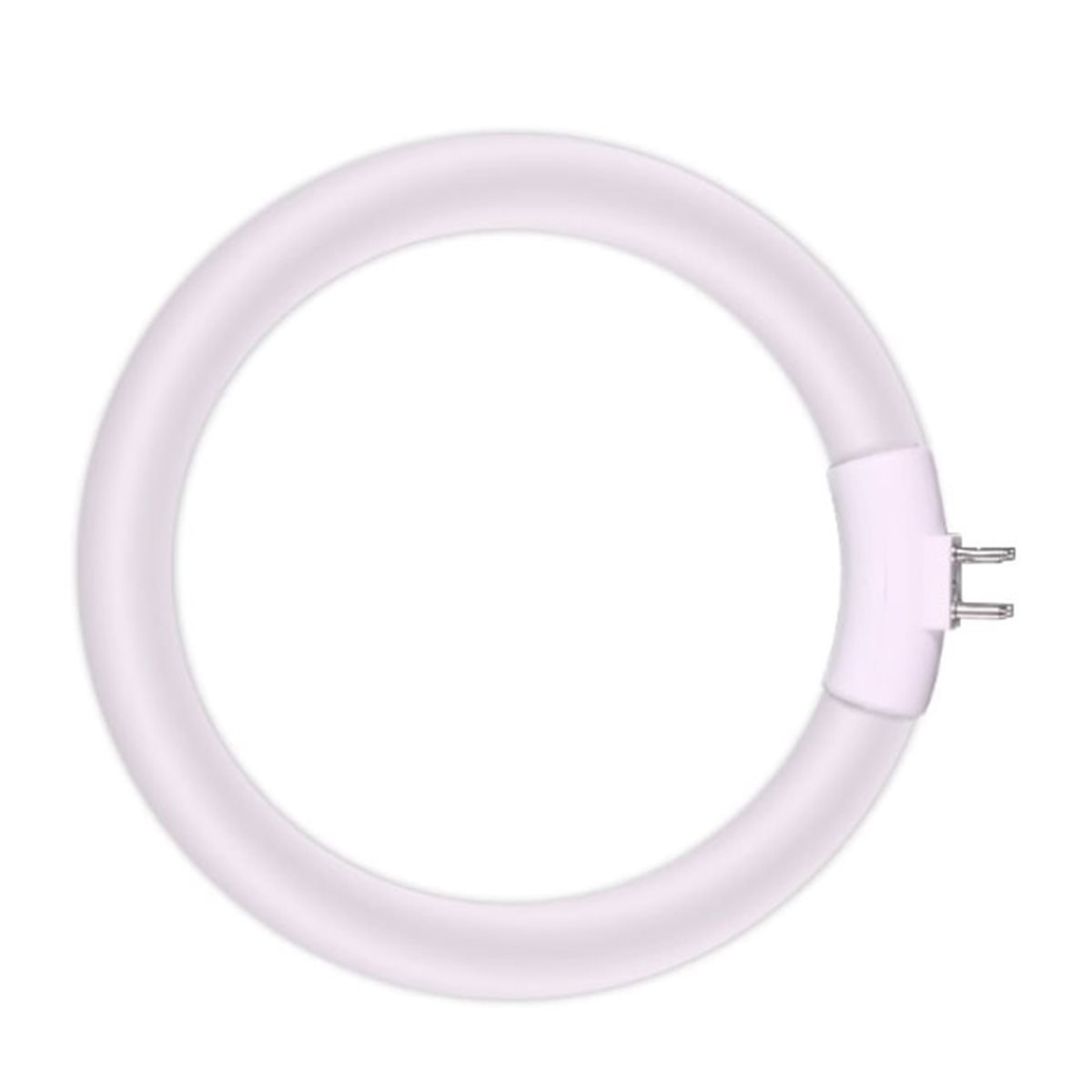 Lampe annulaire fluorescente D - Ring Light Desk Small avis et prix